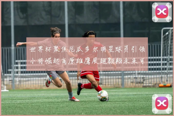 世界杯聚焦厄瓜多尔明星球员引领小将崛起高原雄鹰展翅翱翔未来可期